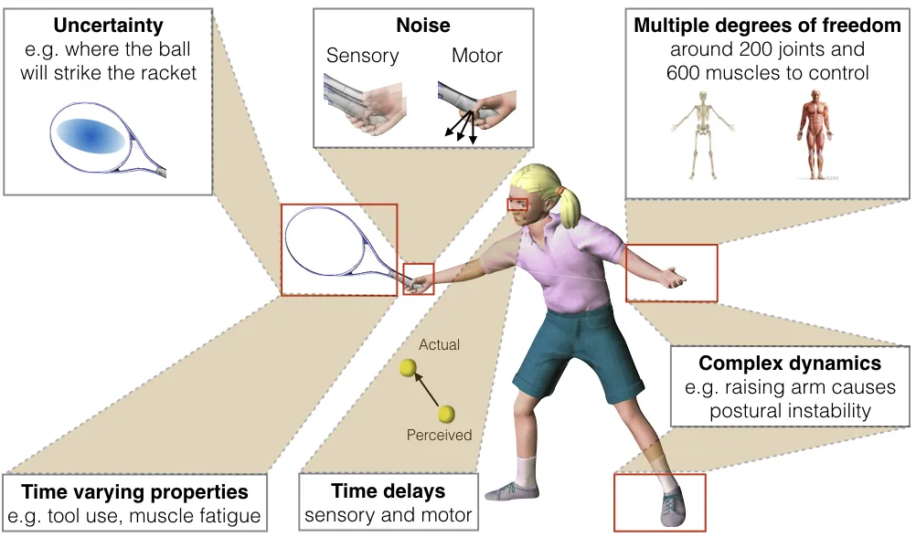 The problems in motor control includes uncertainty, noise, multiple degrees of freedom, complex dynamics, time delays and time varying properties such as muscle fatigue.